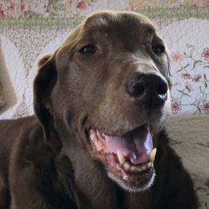 Meet your Posher, Sean